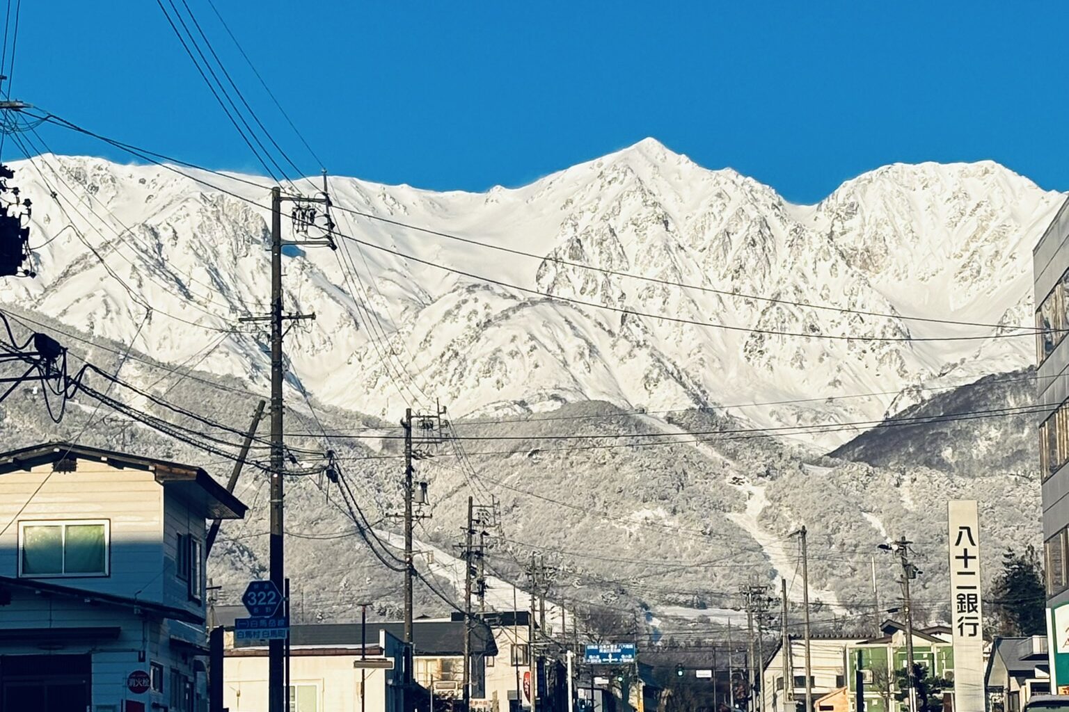 img 0504 (1)
